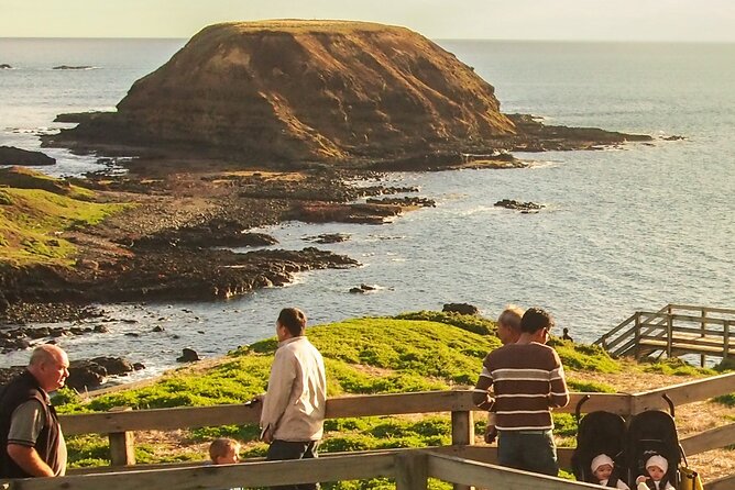 Healesville Sanctuary And Phillip Island Wildlife Bus Tour - My take: book it for range, not relaxation