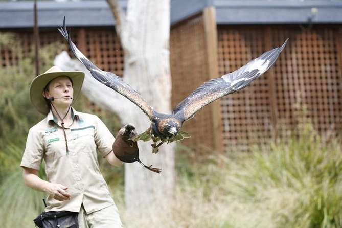 Healesville Sanctuary General Entry Ticket - Key points to know before you go