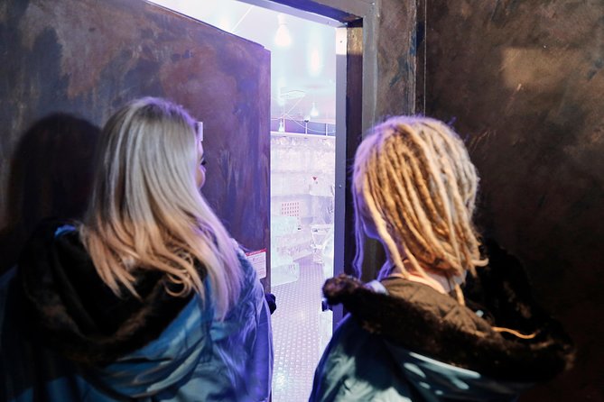 Ice Bar Tour in Melbourne with Cocktails - What happens during the 45-minute visit