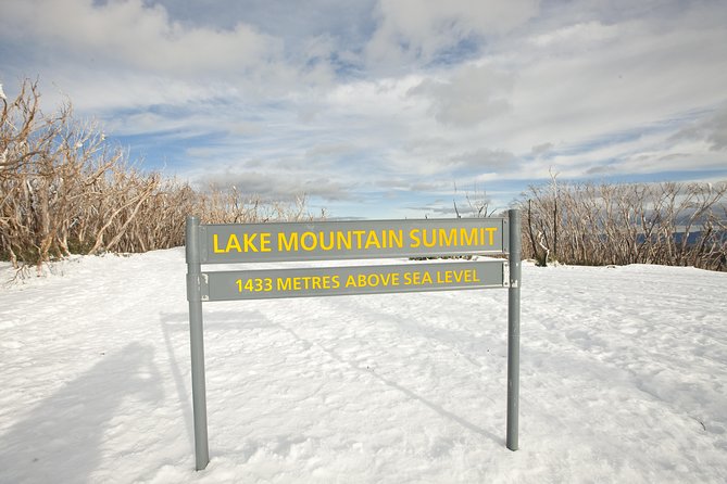 Lake Mountain Snow Trip including Yarra Valley Chocolaterie from Melbourne - Who should book this Lake Mountain trip?