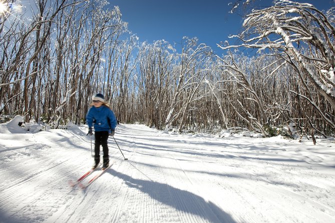 Lake Mountain Snow Trip including Yarra Valley Chocolaterie from Melbourne - The morning ride through Healesville