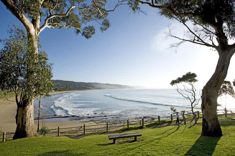 Luxe Bus Great Ocean Road Coastal Spectacular - Apollo Bay, Lorne and the road back