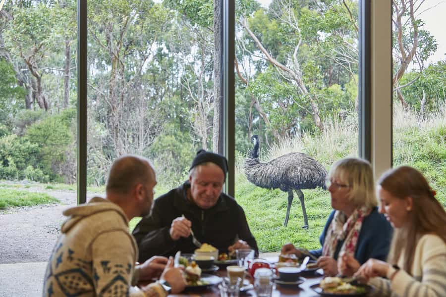 Luxe Bus Great Ocean Road Coastal Spectacular - The morning drive and a useful coffee break