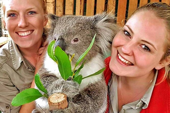 Luxury Phillip Island Tour for Families & Explorers [up to 10Pax] - Why this Phillip Island day trip works well