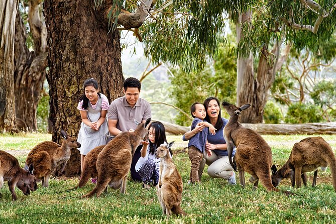 Luxury Phillip Island Tour for Families & Explorers [up to 10Pax] - Cape Woolamai gives you a short taste of the coast