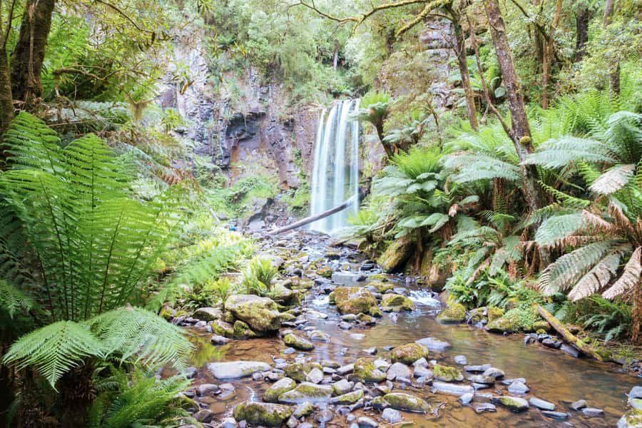 Melbourne: 12 Apostles, Otways & Great Ocean Road Day Tour - Key points at a glance
