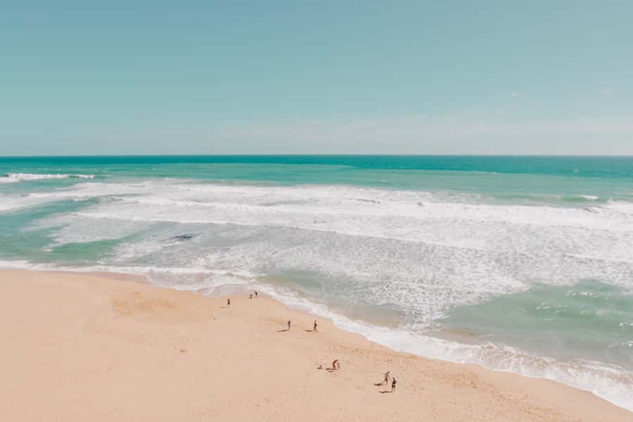 Melbourne: 12 Apostles, Otways & Great Ocean Road Day Tour - What $155 gets you