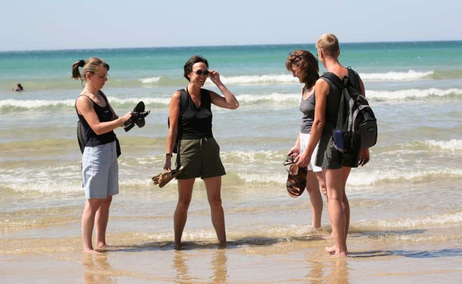 Melbourne: 12 Apostles Sunset Tour - Less Crowds - Lorne and the long coastal views