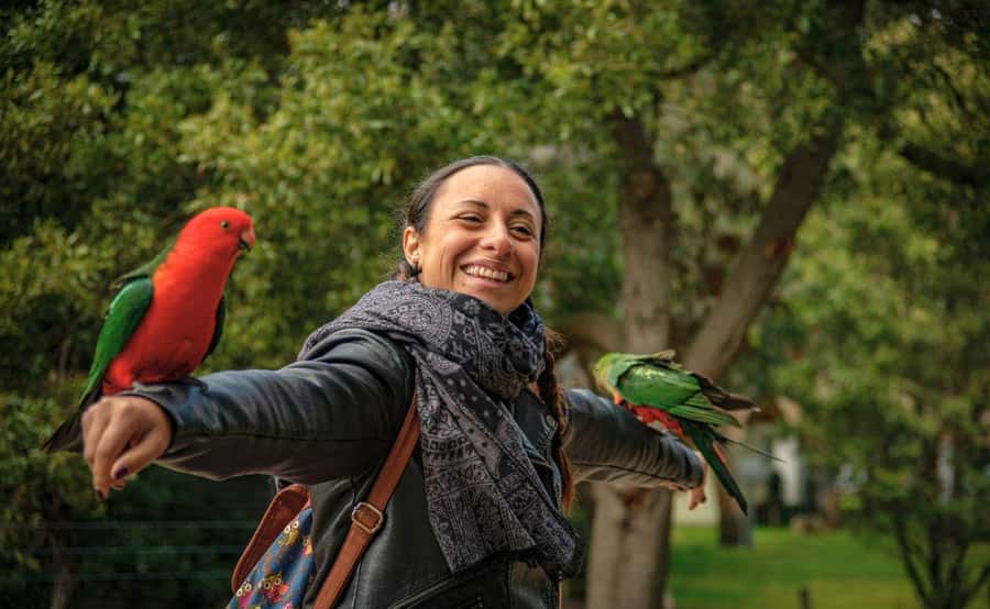 Melbourne: 12 Apostles Sunset Tour - Less Crowds - The evening return through Colac
