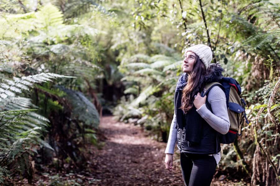 Melbourne: 2-Day Great Ocean Road & Grampians Tour - Kangaroos, waterfalls, and Aboriginal culture in the Grampians