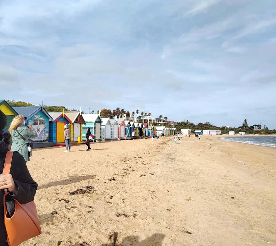 Melbourne 3-Hour Small Group Tour with Beach Boxes - Albert Park Lake and Melbourne’s sporting identity