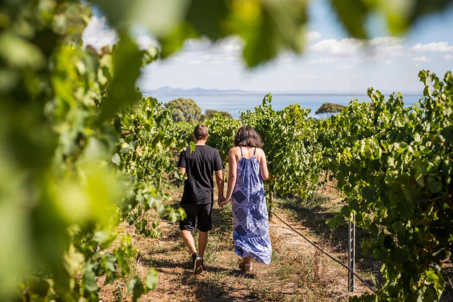 Melbourne: Around the Bay Food & Wine Taste Trail - Key points at a glance