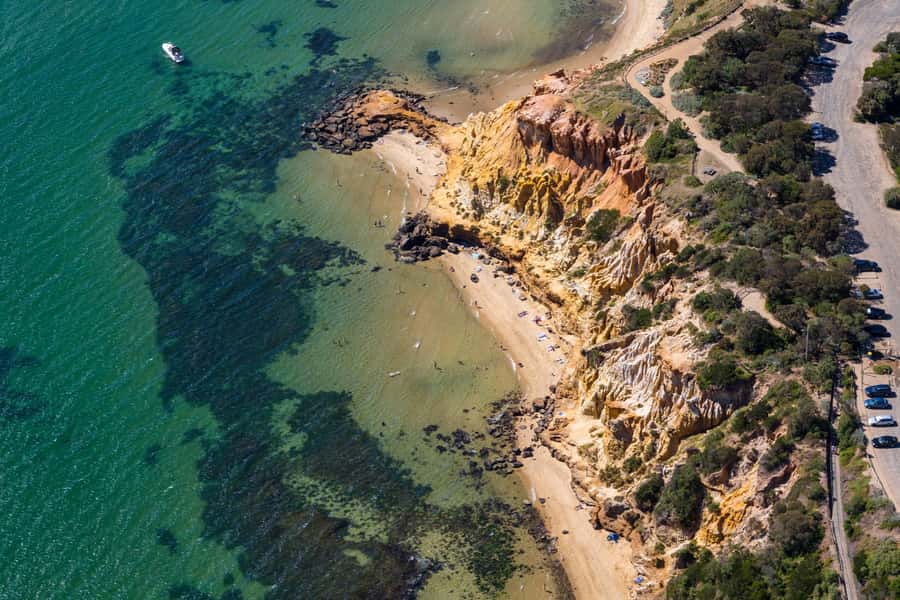 Melbourne: Brighton Beach & Ricketts Point Helicopter Flight - What the 12-minute flight actually gives you
