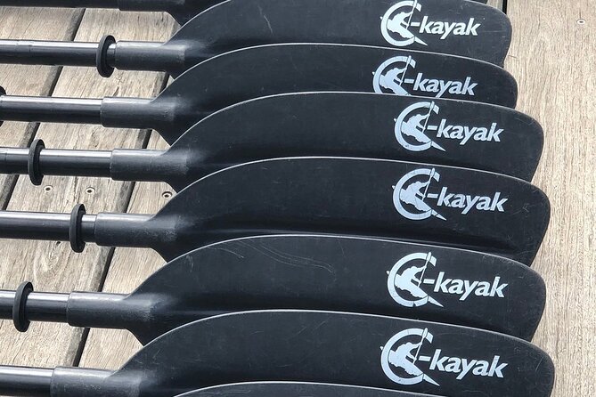 Melbourne City Sights Kayak Tour - Weather, timing, and group size