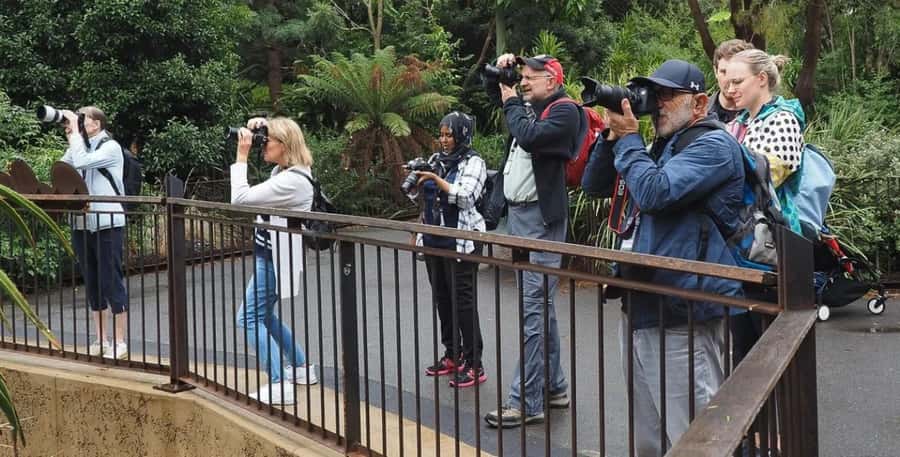 Melbourne City Surrounding Sightseeing Tour - St Patrick’s Cathedral: Melbourne’s Gothic landmark