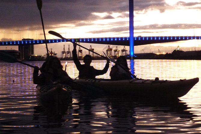 Melbourne City Twilight Kayak Tour - Upstream options: gardens, the MCG and Herring Island