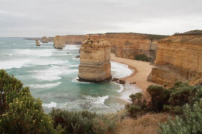 Melbourne Combo: Great Ocean Road Day Trip and Phillip Island Day Trip from Melbourne - Two famous Victorian outings in one package