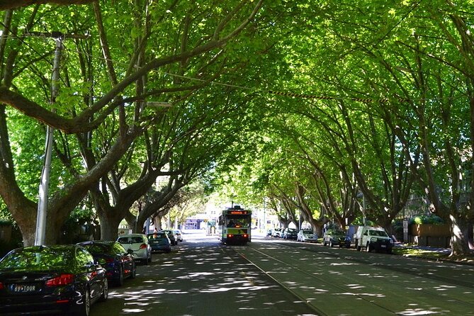 Melbourne Drive by Day - Private Tour - Twenty minutes at Dendy Street Beach
