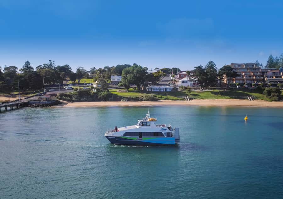 Melbourne: French and Phillip Island Wildlife Expedition - Point Grant and the Nobbies