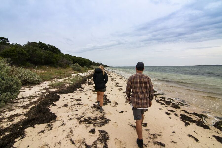Melbourne: French and Phillip Island Wildlife Expedition - What $155 covers, and what it does not