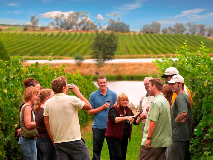 Melbourne: Full-Day Yarra Valley Wine Experience with Lunch - Four Yarra Valley wineries, not four versions of the same tasting