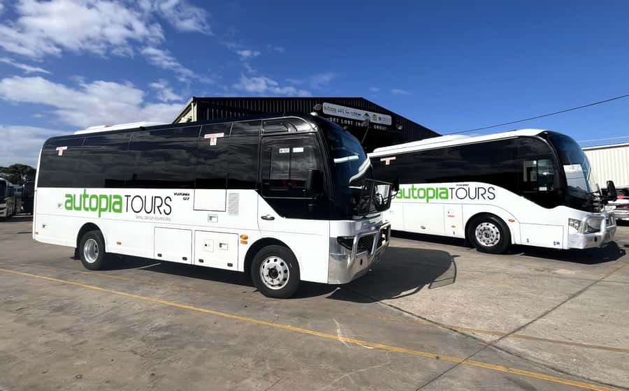 Melbourne: Great Ocean Road, 12 Apostles & Rainforest Tour - A cool forest walk in Great Otway National Park