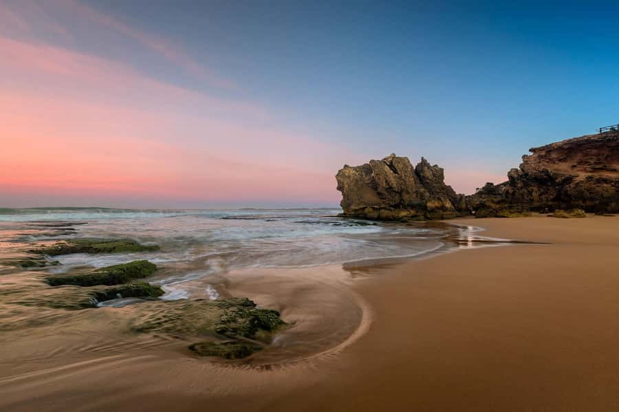 Melbourne: Great Ocean Road Day Tour with kangaroos & koalas - A sweet first stop at the Great Ocean Road Chocolatier