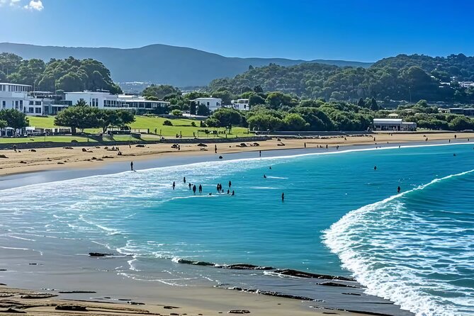 Melbourne: Great Ocean Road Luxury Coach Reverse Tour - Apollo Bay gives you a proper pause