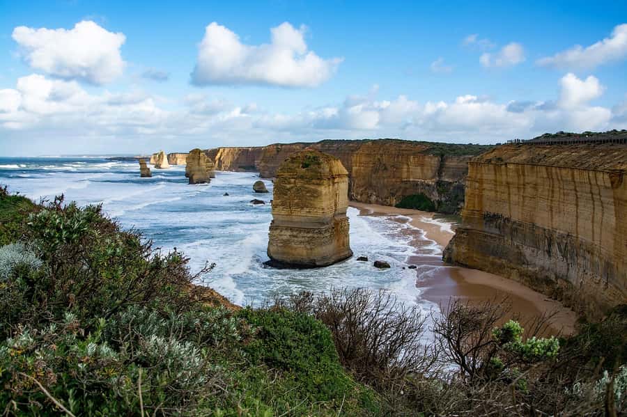 Melbourne: Great Ocean Road & Rainforest Trip - The return to Melbourne