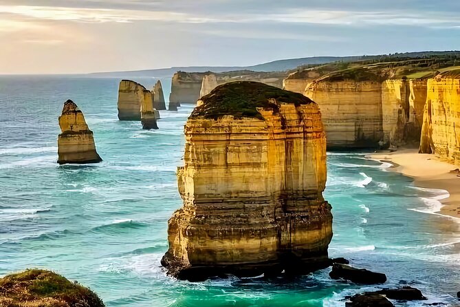 Melbourne Great Ocean Road Reverse Tour + London Bridge wildlife - Key points to know before booking