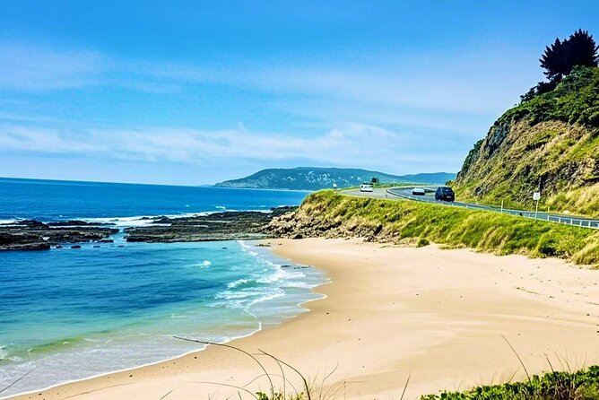 Melbourne Great Ocean Road Reverse Tour + London Bridge wildlife - Why this 12-hour Great Ocean Road day works