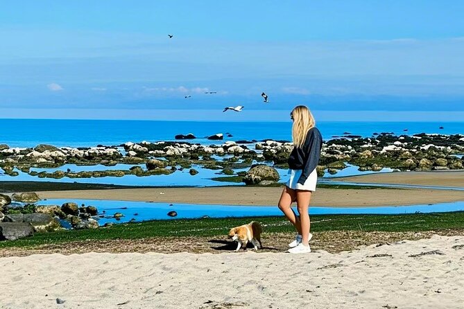 Melbourne Great Ocean Road Reverse Tour + London Bridge wildlife - Loch Ard Gorge and the 1878 shipwreck
