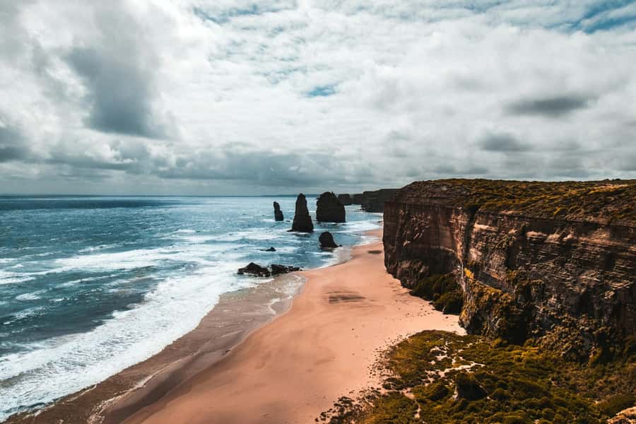 Melbourne: Great Ocean Road to 12 Apostles via the Coastline - Koala spotting near Barham Reserve