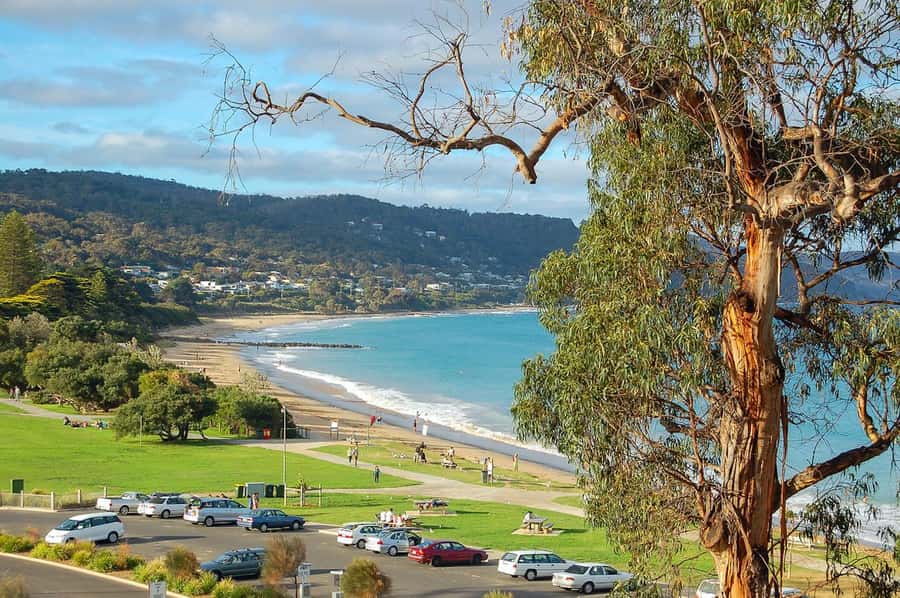Melbourne: Great Ocean Road to 12 Apostles via the Coastline - Anglesea and the first coastal views