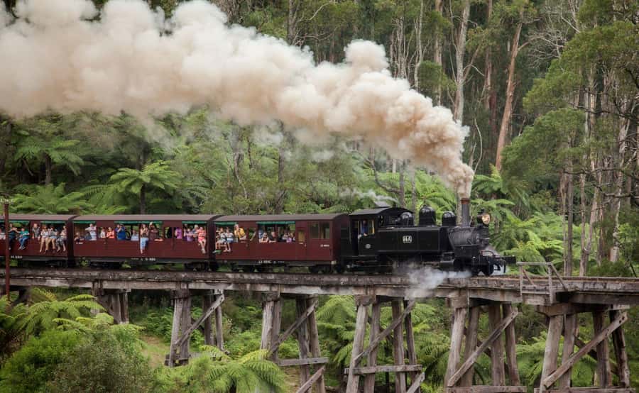 Melbourne: Half-Day Puffing Billy Steam Train Experience - Lakeside and Emerald Lake Park