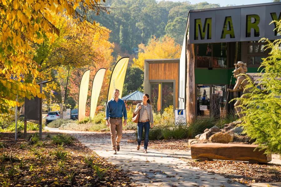 Melbourne: Lake Mountain Snow Day and Waterfalls & Chocolate - Key points to know before booking