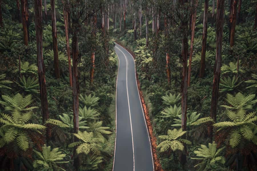 Melbourne: Lake Mountain Snow Day and Waterfalls & Chocolate - Who will enjoy this tour most?