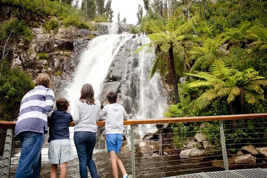 Melbourne: Lake Mountain Snow Day and Waterfalls & Chocolate - Leaving Melbourne through Healesville