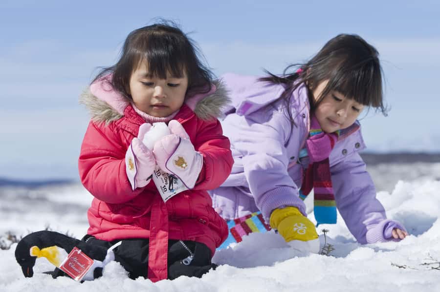 Melbourne: Lake Mountain Snow Guided Tour - Practical planning before you go
