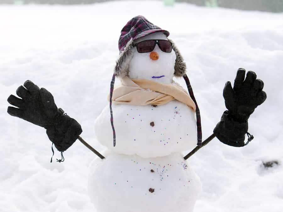 Melbourne: Lake Mountain Snow Guided Tour - Three hours of snow at Lake Mountain