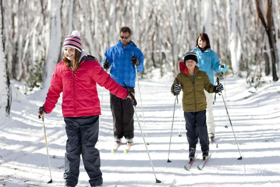 Melbourne: Lake Mountain Snow Guided Tour - Walking to Steavenson Falls
