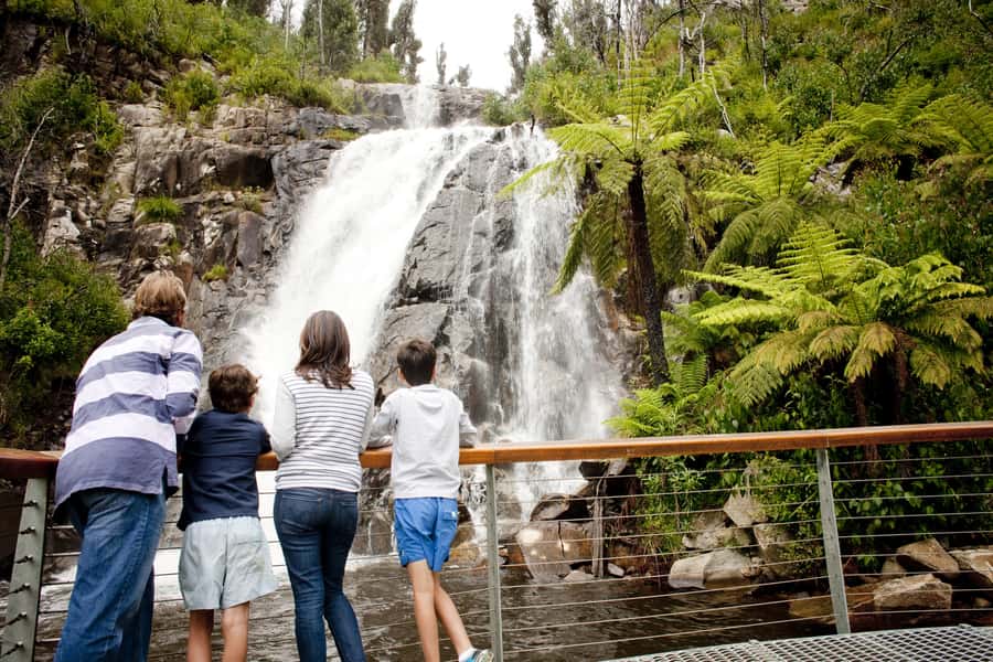 Melbourne: Lake Mountain Snow Guided Tour - What the $104 price really covers