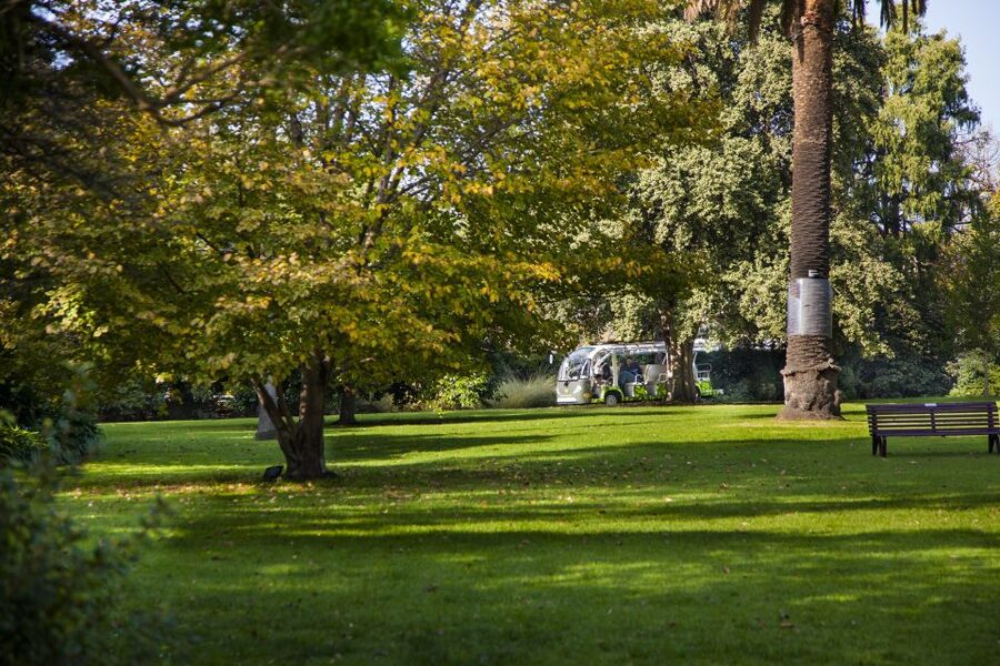 Melbourne: Melbourne Gardens Explorer Minibus Tour - Key points at a glance