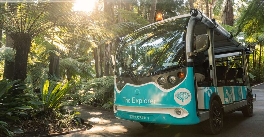 Melbourne: Melbourne Gardens Explorer Minibus Tour - Rolling lawns, global plants, and a gentle pace