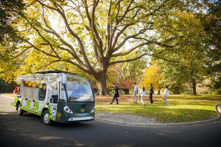 Melbourne: Melbourne Gardens Explorer Minibus Tour - Starting at the Visitor Centre on Birdwood Avenue