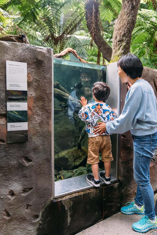 Melbourne: Melbourne Museum Entry Ticket - Who will enjoy Melbourne Museum most?