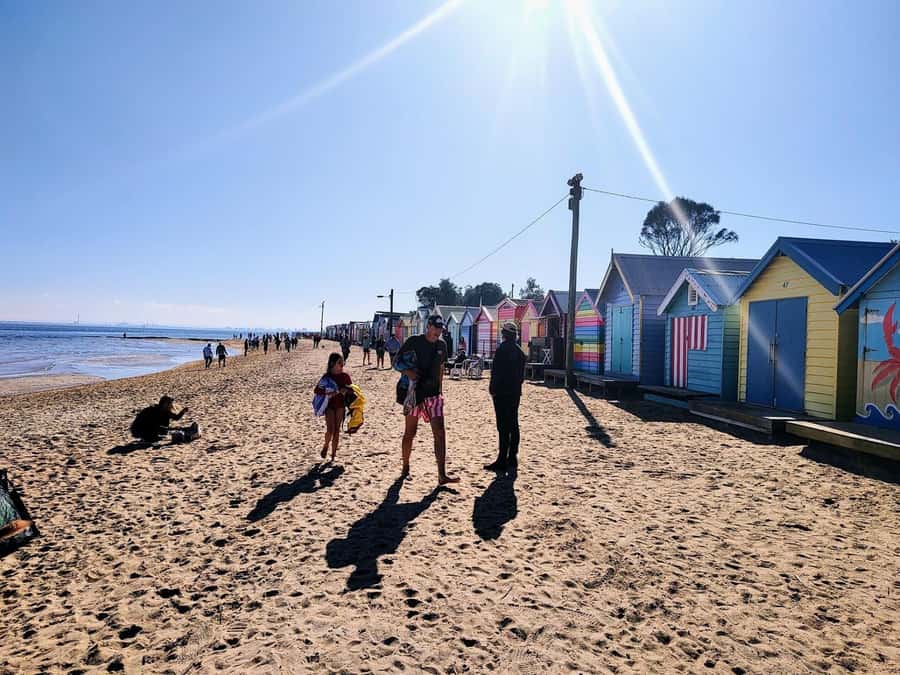 Melbourne: Moonlit Sanctuary and Brighton Beach Boxes Tour - Two hours among Australian animals