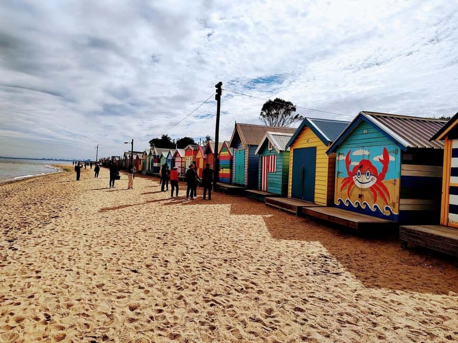 Melbourne: Moonlit Sanctuary and Brighton Beach Boxes Tour - Who should book this morning tour?