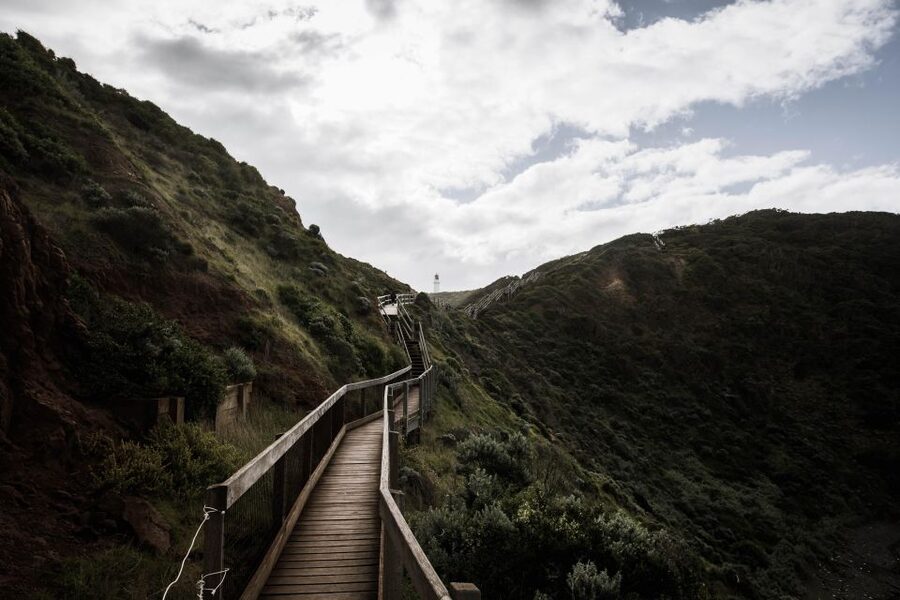 Melbourne: Mornington Peninsula & Hot Springs Tour 8 pax max - Bushrangers Bay delivers the main coastal walk
