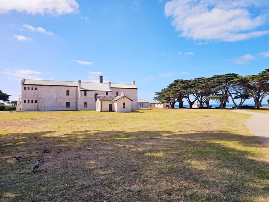 Melbourne: Mornington Peninsula Southern Coast Discovery - Key points to know before booking